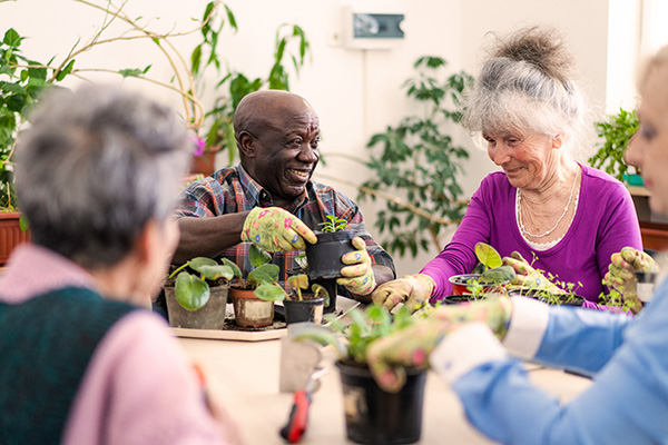 Two smiling senior friends are tending to the potted plants on a table